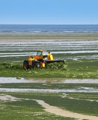 Algacarta Favini: dalle alghe della Laguna Veneta a quelle della Bretagna