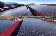 Sugherificio Molinas impresa solare