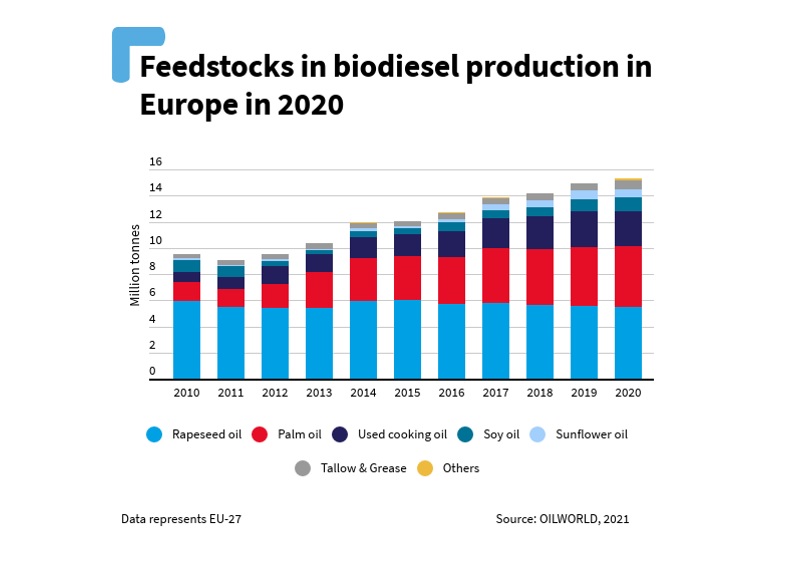 Forest destructions for biodiesel