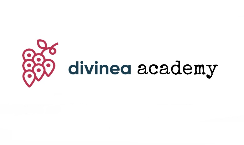DIVINEA ACADEMY_logo
