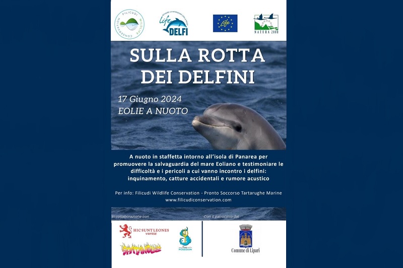 Sulla Rotta dei Delfini a Panarea