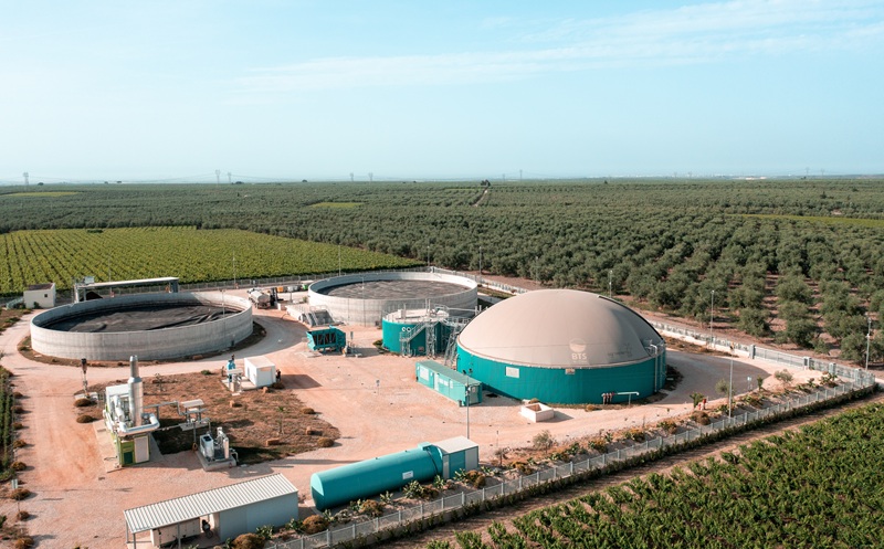 Biogas da scarti sansa di olive